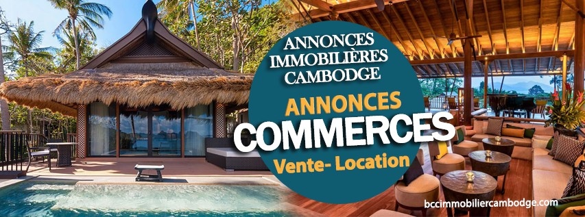 immobilier-cambodge-agence-location-vente-commerce-entreprises-business-center-cambodia-cendy-lacroix-phnompenh-kep-kampot-siemreap-bcc-annonces-immobilieres-hotel-restaurant-shop-boutiques.jpeg