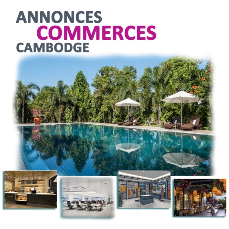 cambodge-annonces-logement-commerces-contrat-bcc-cendy-lacroix-business-center-cambodia-ufe-francais-france-expat-maison-appartement-hotel-bar-piscine-plage.jpeg