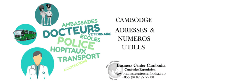 business-center-cambodia-infos-santé-Cambodge-docteurs--courier-veterinaire-traducteurs-cambodge-hopitaux.jpeg