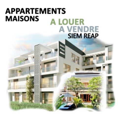 cambodge-annonces-logement-commerces-contrat-bcc-cendy-lacroix-business-center-cambodia-ufe-francais-france-expat-maison-appartement-hotel-bar-piscine-plage.jpeg