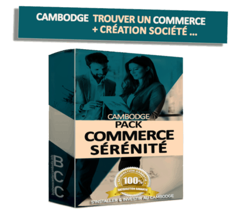 business-center-cambodia-cambodge-informations-ambafrance-expatriation-investir-ambassade-france-vivre-expat-location-achat-vente-entreprise-bail-confiance-commerce-france-francais.jpeg