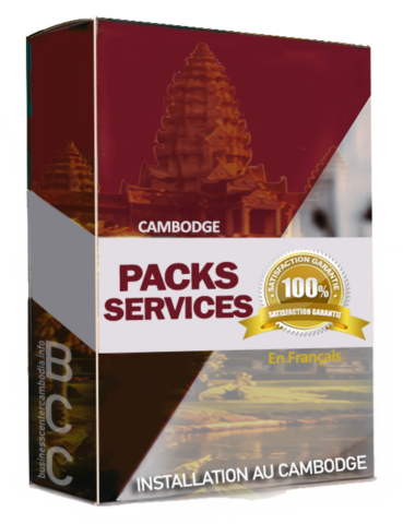 expatriation-cambodge-famille-france-francaise-asie-bcc-business-center-cambodia-cendy-lacroix-ufe-ambassade-visa-commerce-installation.png