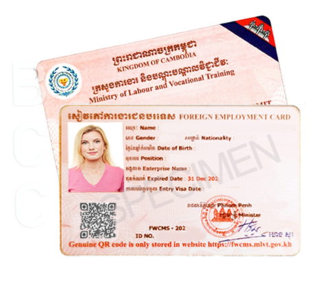permis-travail-cambodge-cendy-lacroix-business-ccenter-cambodia-Cambodge-visa-francais-UFE-expatriation-installation-facile-angkor-siemreap.jpeg