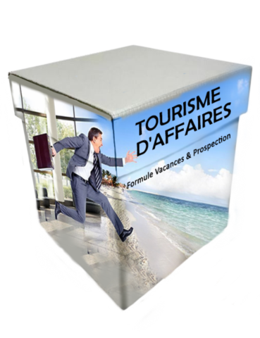 business-center-cambodia-cambodge-informations-ambafrance-expatriation-investir-ambassade-france-vivre-expat-location-achat-vente-commerce-ufe-confiance-asie-france-francais.jpeg